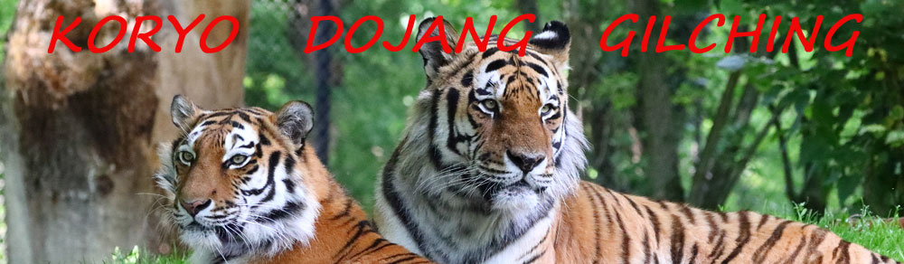 Tiger-Banner-2